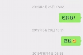 黑山为什么选择专业追讨公司来处理您的债务纠纷？